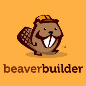 this image for breaver builder plugin